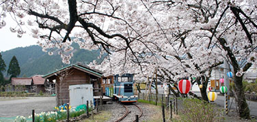 魚梁瀬森林鉄道