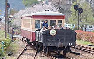 4年に1度の「桜臨」