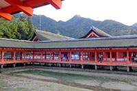 厳島神社を見学