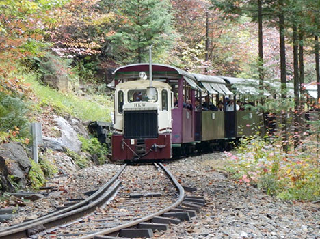 赤沢森林鉄道の運行状況