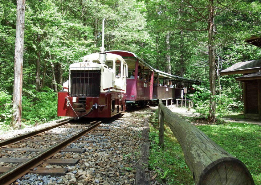 赤沢森林鉄道の運行状況