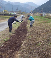 鉄道沿線に菜の花の種まき