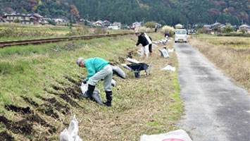 鉄道沿線に水仙の植栽
（２０１９．１１）