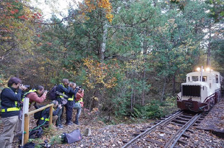 ボールドウィンカレー