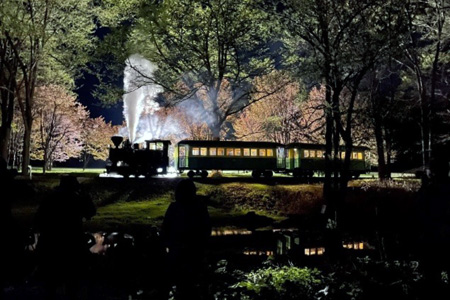 雨宮号夜桜撮影会（令和６年５月５日撮影）