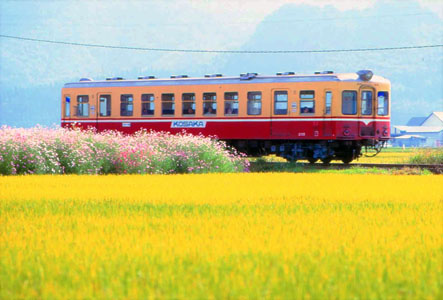 現役時代のキハ２１００形気動車（撮影：千葉裕之）