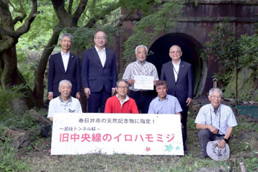 廃線の天然モミジが市・特別天然記念物に指定！