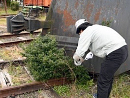 旧加悦ＳＬ広場の草刈りをはじめとした維持活動